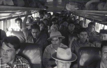 Workforce for WWII However, for many, life as a bracero was better