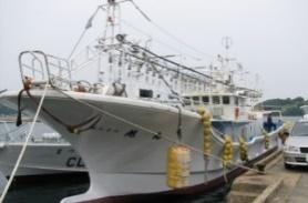 Large-scale organized crime conducted by sea In May 2017, around 206 kg of gold traded by sea and landed on a fishing port in Saga Prefecture from a fishing boat