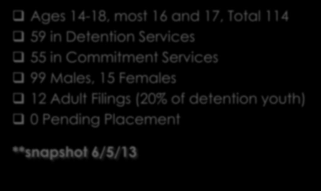 Overview of Juvenile Facilities Population Ages 14-18, most 16 and 17, Total 114 59 in Detention Services 55 in