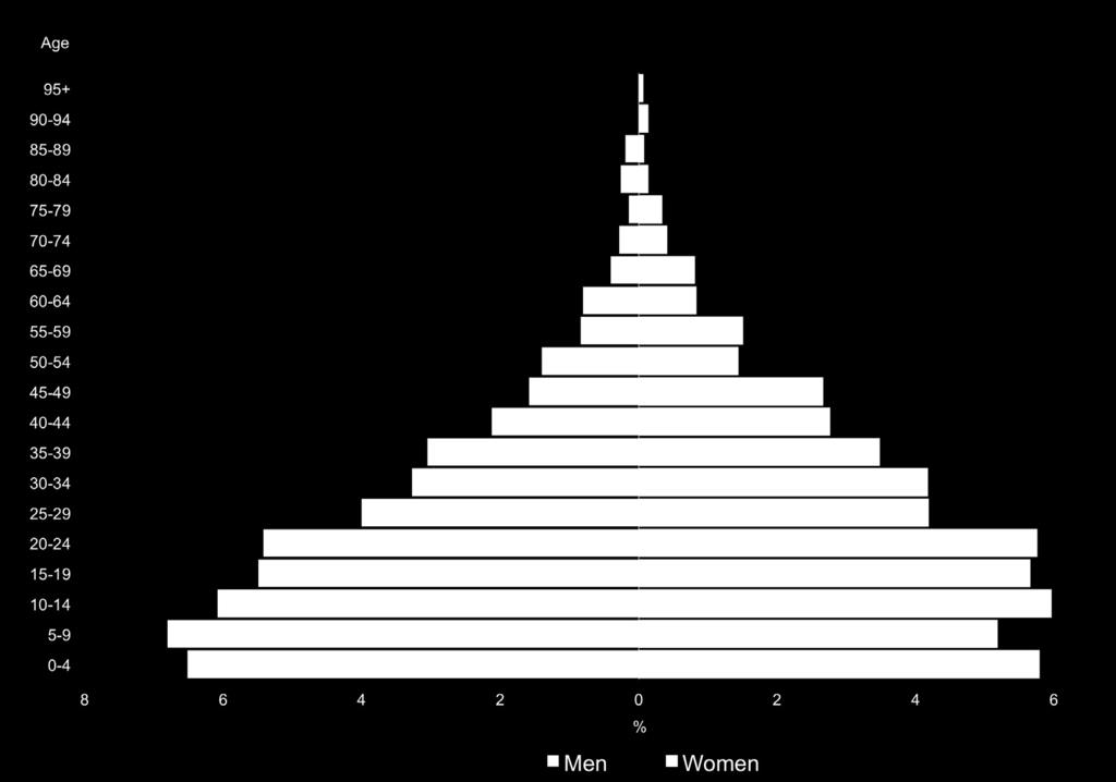 Demographic characteristics Figure 1: Population pyramid - displaced population Displaced households are on average younger than nondisplaced households and include a larger proportion of minors.