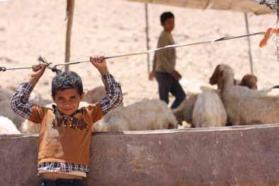 10 11 West Bank $115,000 provides mental health services to 15 Bedouin communities for one year Many Bedouin communities are located in areas of strategic interest for the future expansion of illegal