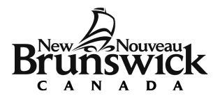 Expression of Interest to Hire Foreign Worker(s) Form New Brunswick Employers The Province of New Brunswick is available to help New Brunswick employers who are facing chronic labour market shortages