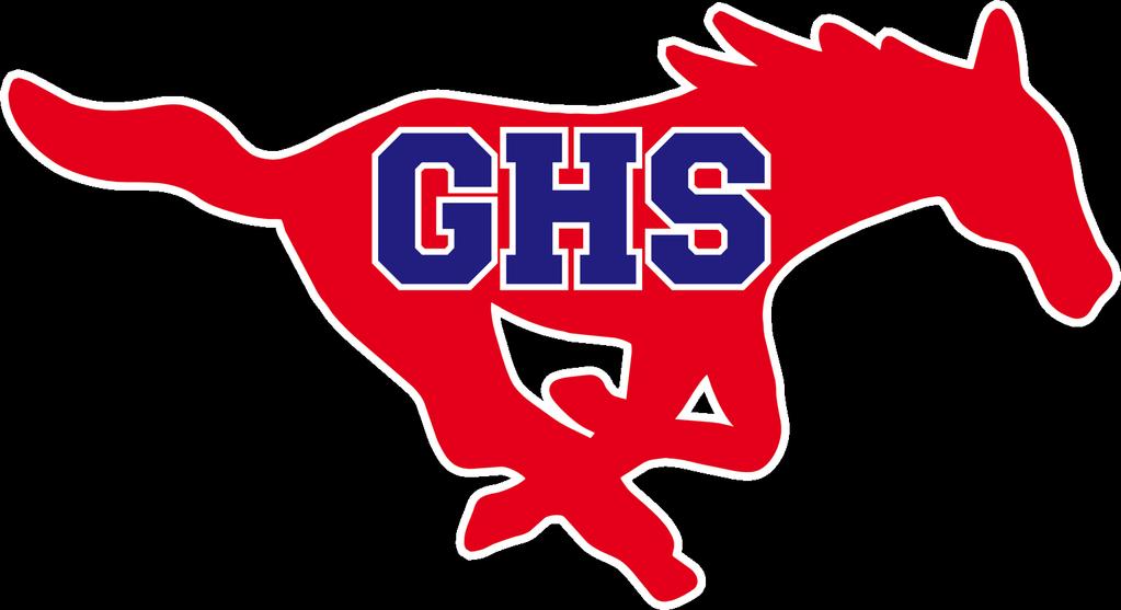GRAPEVINE MUSTANG