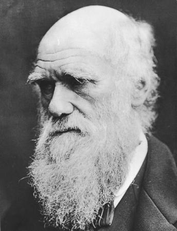 Social Darwinism What is Darwinism? How could this be applied to economics? How could this be applied to people?