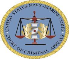 In conducting our plain error review, we need only address the third element of plain error because, even were we to assume error, we see no evidence that the trial counsel s arguments regarding Navy