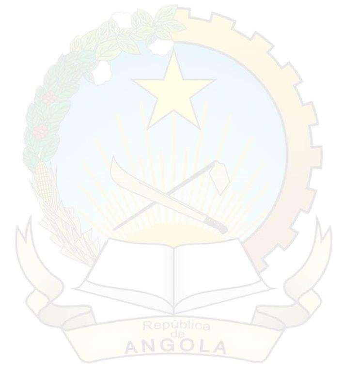 CONSULATE GENERAL OF THE REPUBLIC OF ANGOLA IN THE UNITED KINGDOM OF GREAT BRITAIN AND NORTHERN IRELAND WORK VISA The Work Visa is granted to allow the holder entrance into Angola, with the purpose