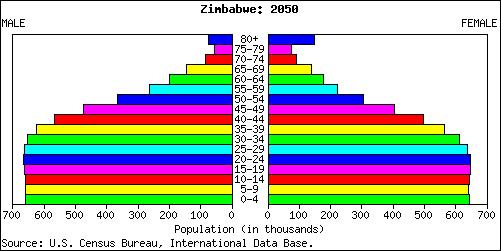 These population graphs show the population of Zimbabwe in 2000, then again in 2050. In the graph representing the population for 2000, you see a triangle shape.