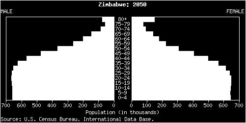 The reason for the large young population is because of the high infant mortality rate in Zimbabwe due to the poor health care, and the AIDS epidemic.