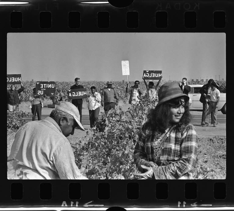 United Farm Worker's strike in Delano (Calif.