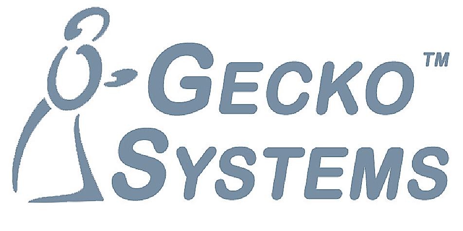 GeckoSystems International Corporation Current Report to Stockholders July 28, 2017 1640 B Highway