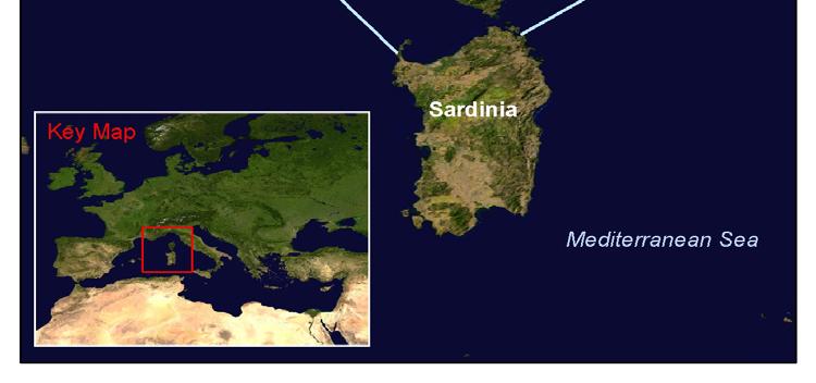 CITES Whaling Ligurian Sea Marine Mammals Sanctuary eg More