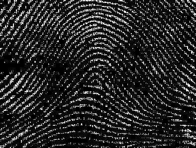 Biometrics Technology for Human Recognition Anil K.