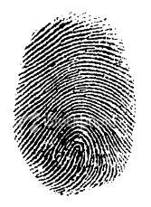 Large Scale Identification Issue a unique identification number (UID) to Indian residents that can be verified and authenticated in an online, cost-effective manner, and that is robust to eliminate