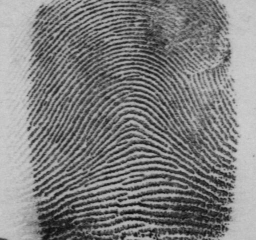 Rolled Fingerprint