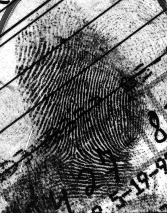 Latent Fingerprint Matching C. Wilson et al.