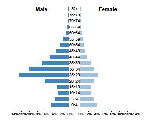 every country in the Gulf. Such ageand gender-distorted population structures are most visible in an age pyramid. Figures 1.4 and 1.