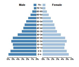 5 Population pyramid, Egypt, 2014 estimates 4 Population pyramid, Oman, 2014 estimates As a result of labour migration, the populationsex ratios for all Gulf countries are