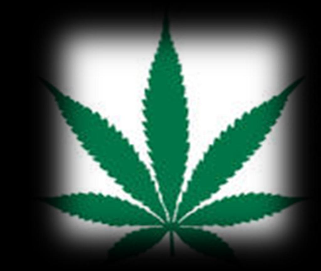 MARIJUANA AND ZONING: THE ROLE OF