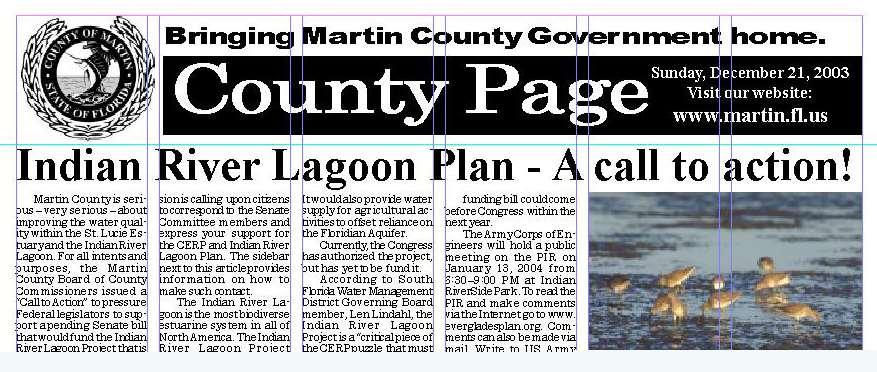 Media - Print County