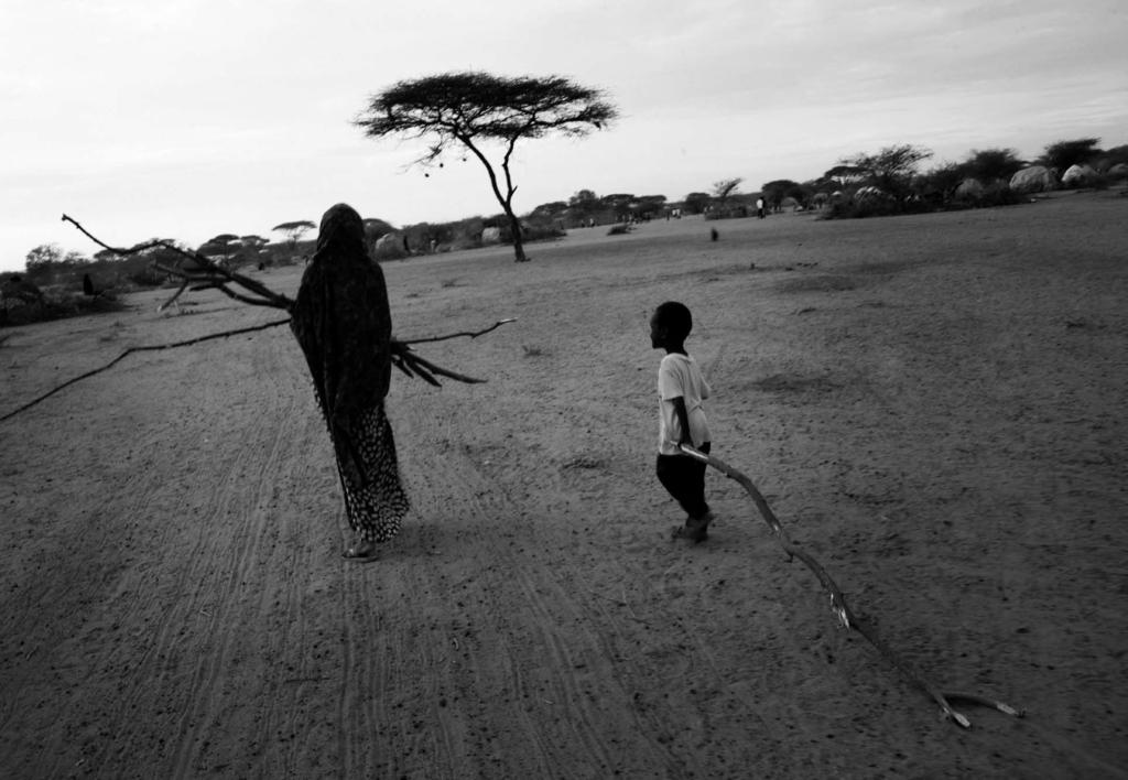 6 Kenya horror and hopelessness Kenya horror and hopelessness 7 For at least one year, UNHCR unsuccessfully tried to negotiate with Dadaab s local authorities for land for additional camps.