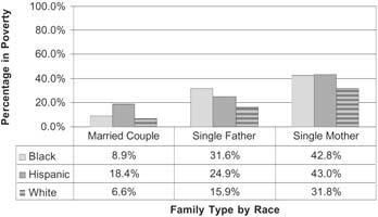The Basics of Sociology Figure 7.1 Percentage of Families with Children under Age 18 Living in Poverty, by Family Type and Race 2003 Source: U.S. Census Bureau (2004a).