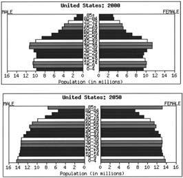 Figure 8.2 U.S. Population Pyramid, 2000, 2050 Population Structure, Movements, and Concentration Source: U.S. Census Bureau (2003). number of men.