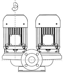 TWIN PUMPS - T and AT Seal structure alternatives Standard structure - Single mechanical seal - Max. operating temperature + C.