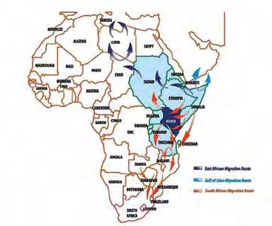 SouthERN AFRICA The two maps presented here are examples of the major migration routes in