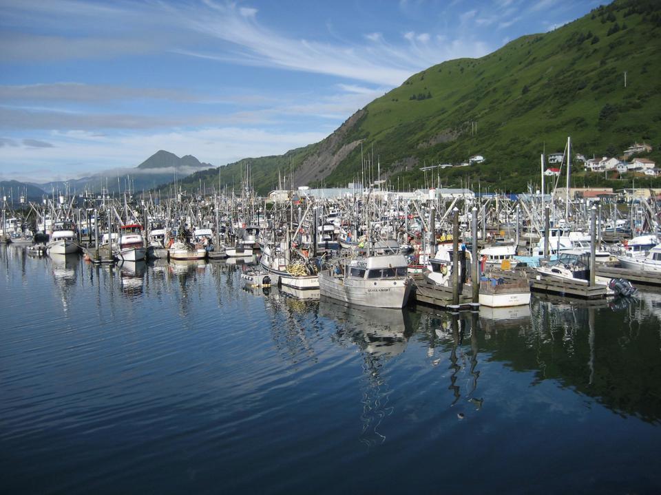 Emerging Themes Kodiak Need for entry level opportunities Costs of starting up Markets and processors; complaints about price Loan options there,