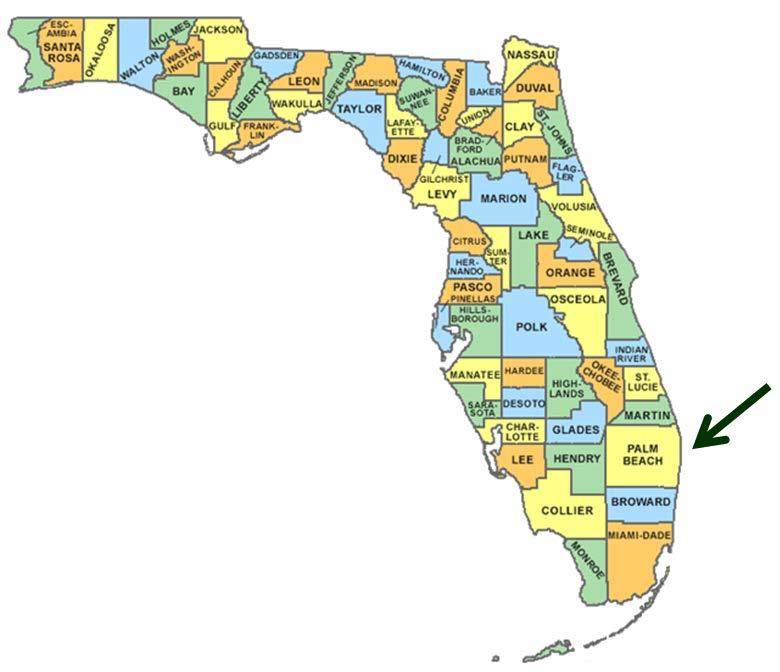 Appendix A: Palm Beach County Supplemental Statistics As part of Florida s Gold Coast, Palm Beach County is located in Southeast Florida and is the largest County in area in the State of Florida.