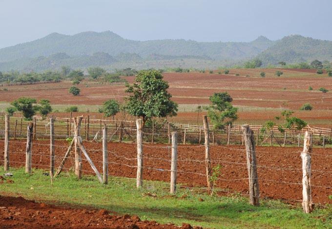 Fences appearing in the landscape in Demoso Township (TK) on their land after it was taken by the Tatmadaw s 531 st Battalion during 2012-13 following earlier seizures of land in the 1990s.