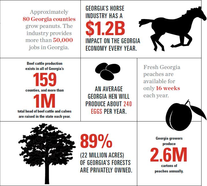 Economic Impact of the Agriculture Industry: mild year round climate makes GA good for farming Georgia s leading economic industry Georgia is a leading producer of commodities like soybeans, peanuts,