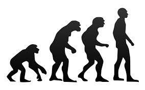 Evolution Evolution- Charles Darwin