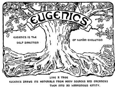 Eugenics Eugenics is the science of improving a human population by controlled breeding to increase the occurrence of