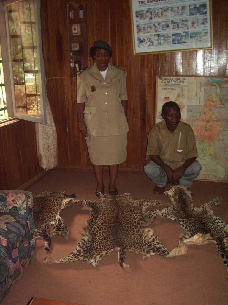 leopard skins in Bafoussam West