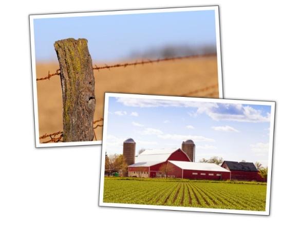 Iowa Fence Requirements: A Legal Review By Kristine A. Tidgren i July 27, 2016 Background Iowa fence law has long sought to protect agricultural interests.