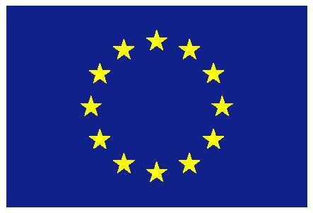 those of either the European Commission or the Member States.