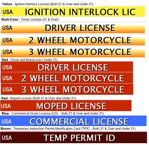 Other header bars may be displayed depending on the driver license type.