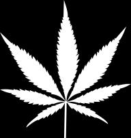 (5/8/17) Bipartisan Group Launches Congressional Cannabis Caucus: DY Press Release; M. Sh