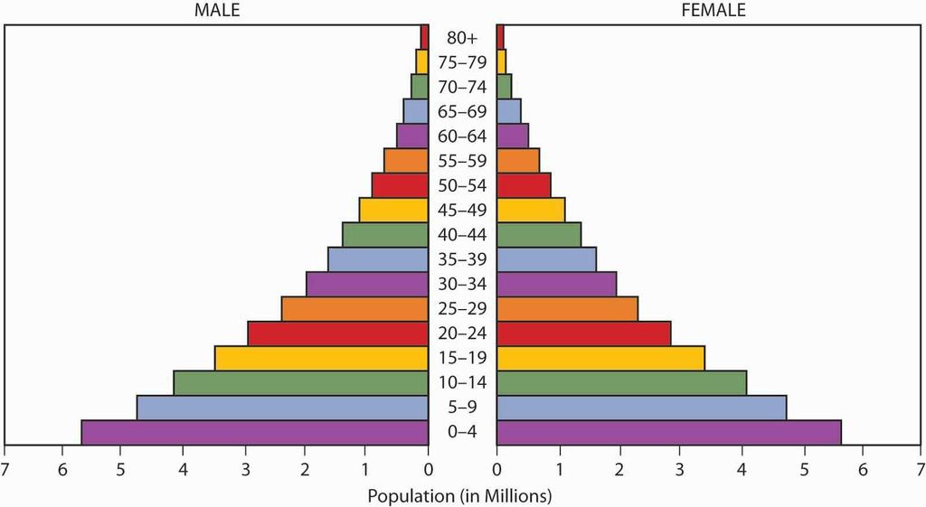 Population Pyramids show the composition of