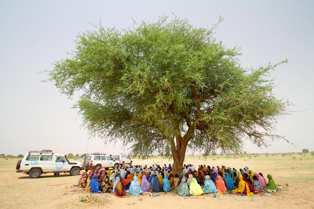 A tree provides shelter for a meeting with a community of returnees in