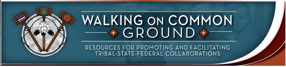 Promising Practices Generally State Police Officer Status and Cross Deputization Agreements Arizona Court Rule Providing State Recognition of Tribal Court Judgments Arizona Recognition and