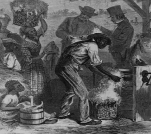 A depiction of the use of the Cotton Gin.