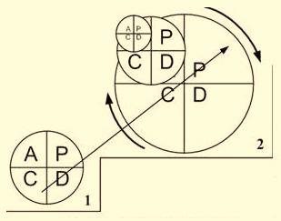 Mass organization institution of the organization. Fig. (7). PDCA cycle recursion rose diagram.
