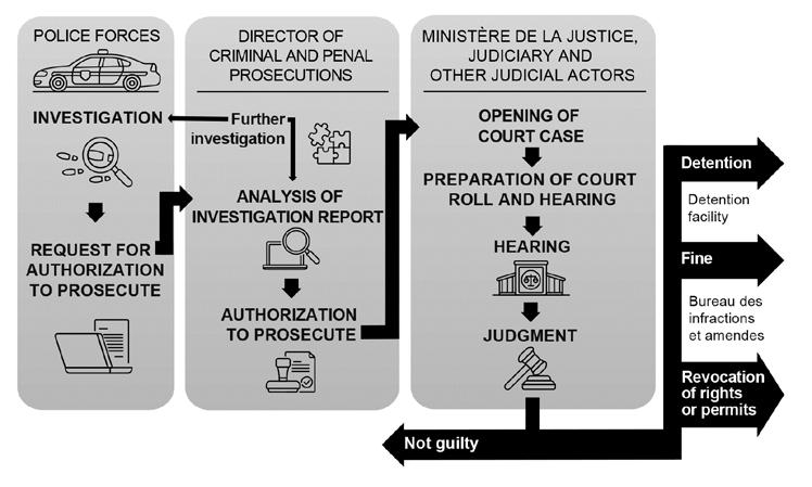 1.4 Progression of a case The progression of a judicial case varies depending on the nature of the offence or dispute at issue.