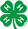 HEAD Heart Hands Health The 4-H Pledge The HEAD represents: 1. Thinking, planning and reasoning. 2. Gaining new and valuable knowledge. 3. Understanding the whys. The HEART represents: 1.