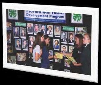 o o o Summer Camps Achievement and Recognition Programs 4-H Day at the Fair County Council members can be involved in spreading the 4-H word to: Civic groups and stakeholders Potential 4-H