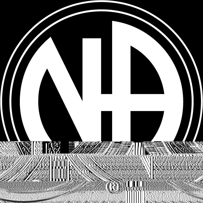Narcotics Anonymous Guidelines