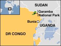 The Congolese army is working with UN troops in eastern DR Congo They had been looking for fighters from the Lord's Resistance Army, accused of carrying out atrocities across northern Uganda and in