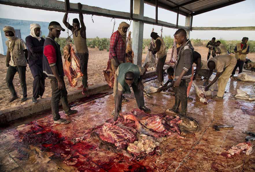 The distribution of meat becomes much more hygienic